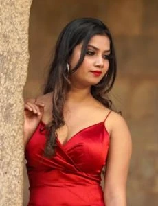 call girl service in Sambhar